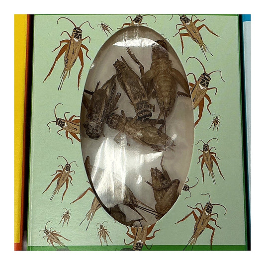 Crick-Ettes - processed