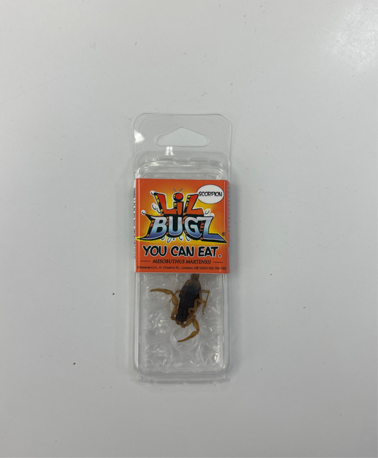 Lil Bugz Scorpion
