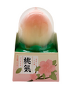 Peach Ice Cream