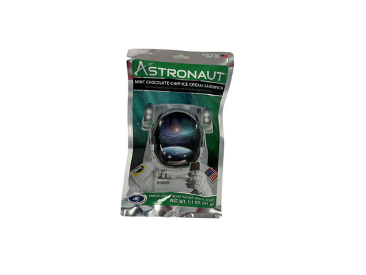 Astronaut Mint Chocolate Chip Ice Cream Sandwich