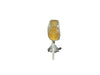 Honey bear pop candy