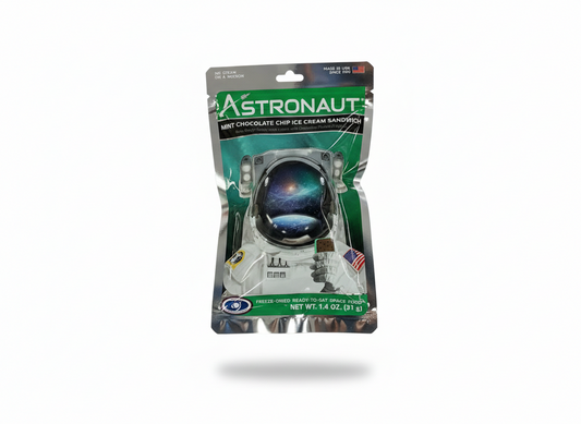 Astronaut Mint Chocolate Chip Ice Cream Sandwich