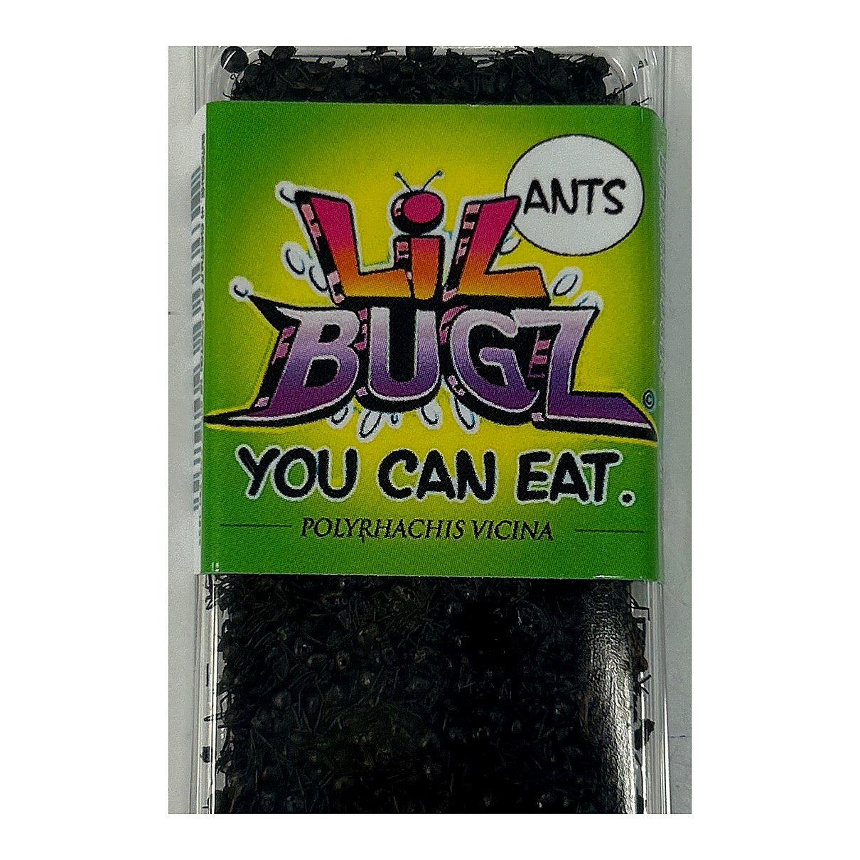 Lil Bugz Ants - processed