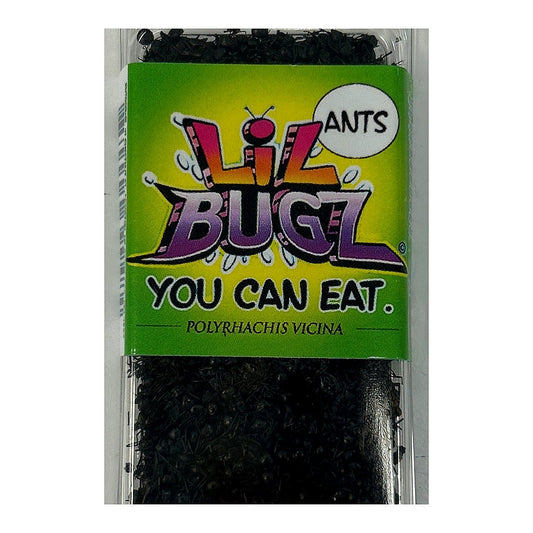 Lil Bugz Ants - processed