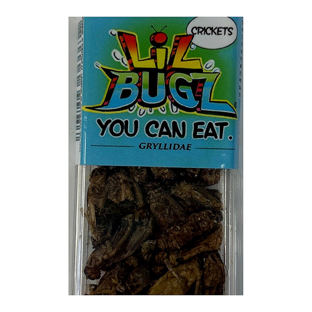 Lil Bugz Crickets - processed