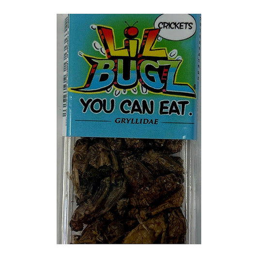 Lil Bugz Crickets - processed