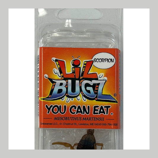 Lil Bugz Scorpion - processed