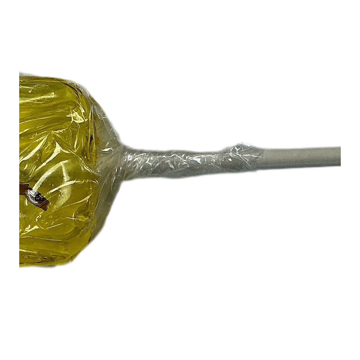 Scorpion Sucker - processed